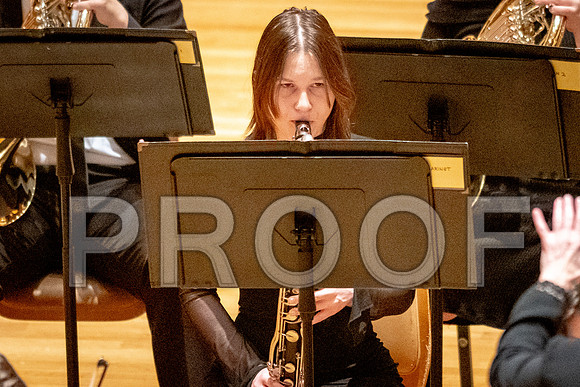 2024 University of Illinois High School Orchestra ClinicFebruary 24, 2024