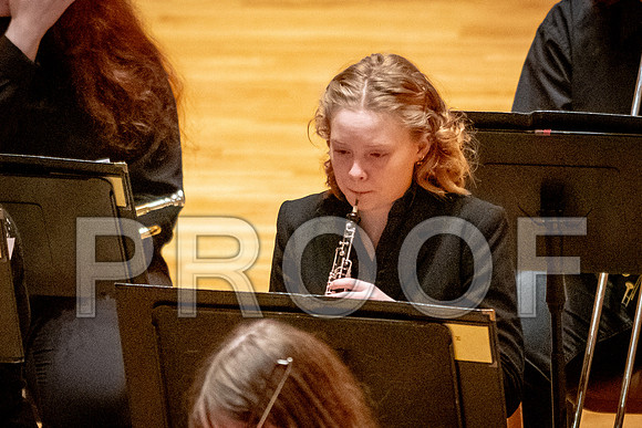 2024 University of Illinois High School Orchestra ClinicFebruary 24, 2024