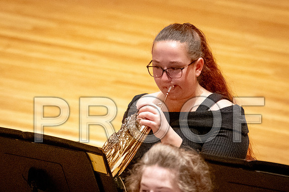 2024 University of Illinois High School Orchestra ClinicFebruary 24, 2024
