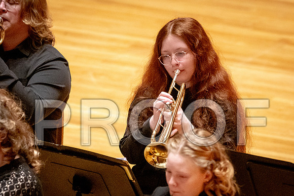 2024 University of Illinois High School Orchestra ClinicFebruary 24, 2024