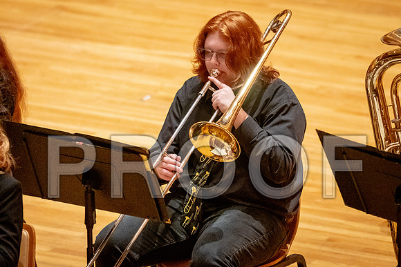 2024 University of Illinois High School Orchestra ClinicFebruary 24, 2024