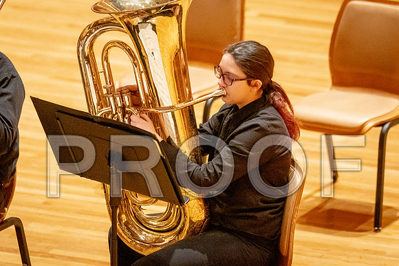 2024 University of Illinois High School Orchestra ClinicFebruary 24, 2024