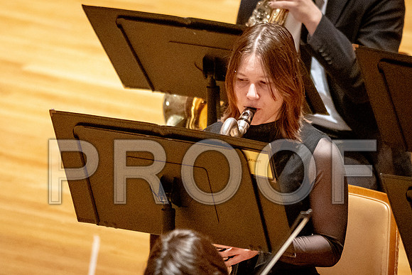 2024 University of Illinois High School Orchestra ClinicFebruary 24, 2024