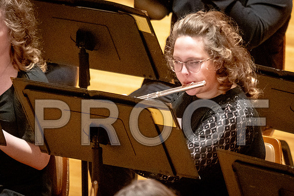 2024 University of Illinois High School Orchestra ClinicFebruary 24, 2024