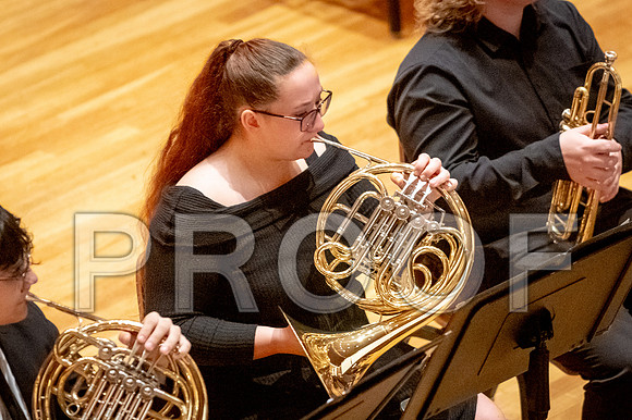 2024 University of Illinois High School Orchestra ClinicFebruary 24, 2024