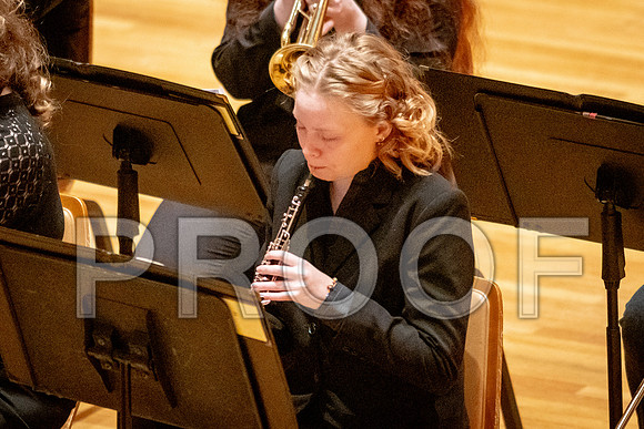 2024 University of Illinois High School Orchestra ClinicFebruary 24, 2024