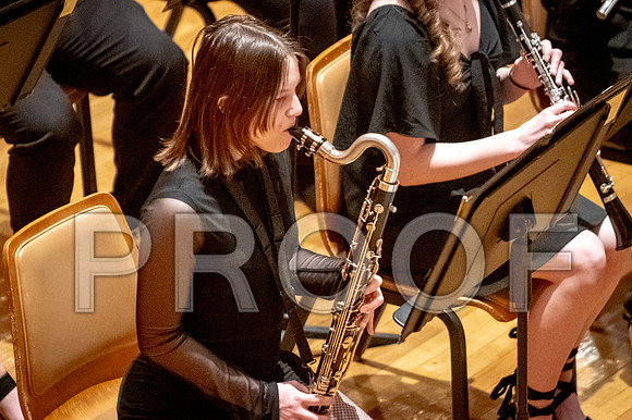 2024 University of Illinois High School Orchestra ClinicFebruary 24, 2024
