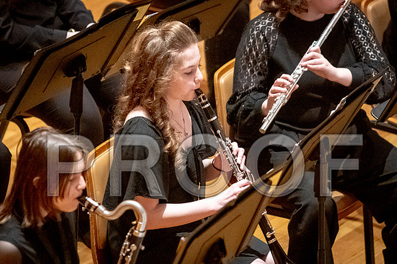 2024 University of Illinois High School Orchestra ClinicFebruary 24, 2024