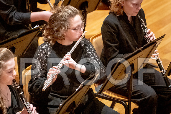2024 University of Illinois High School Orchestra ClinicFebruary 24, 2024