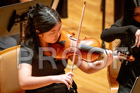 2024 University of Illinois High School Orchestra ClinicFebruary 24, 2024