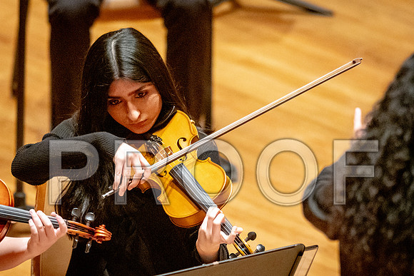 2024 University of Illinois High School Orchestra ClinicFebruary 24, 2024