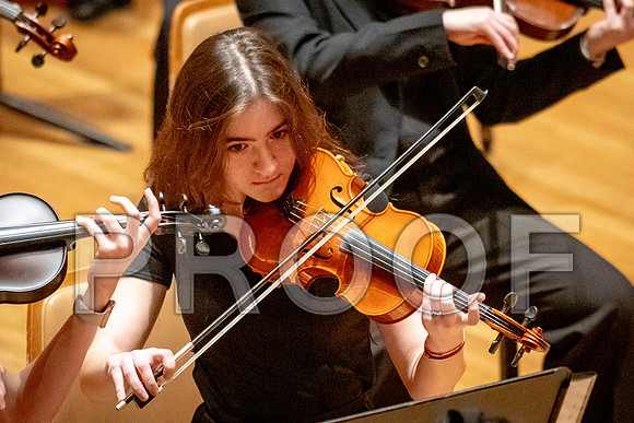 2024 University of Illinois High School Orchestra ClinicFebruary 24, 2024