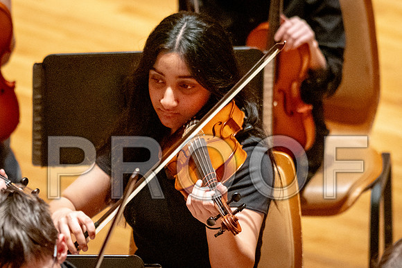 2024 University of Illinois High School Orchestra ClinicFebruary 24, 2024