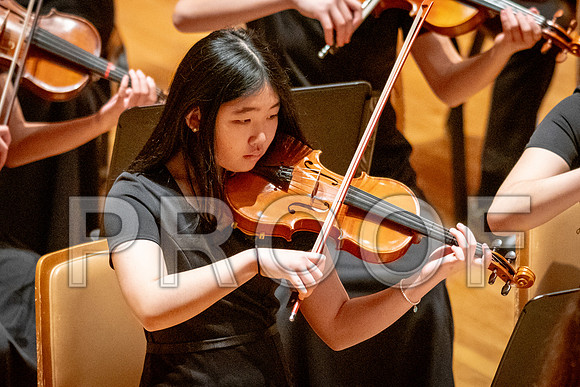 2024 University of Illinois High School Orchestra ClinicFebruary 24, 2024