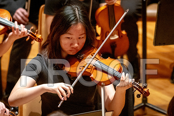 2024 University of Illinois High School Orchestra ClinicFebruary 24, 2024