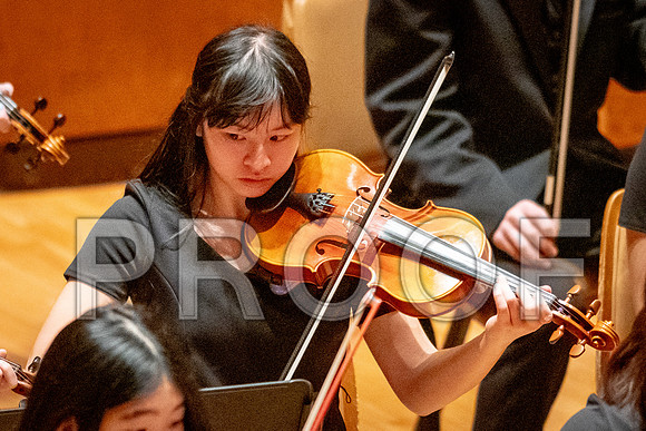 2024 University of Illinois High School Orchestra ClinicFebruary 24, 2024