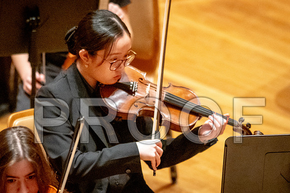 2024 University of Illinois High School Orchestra ClinicFebruary 24, 2024