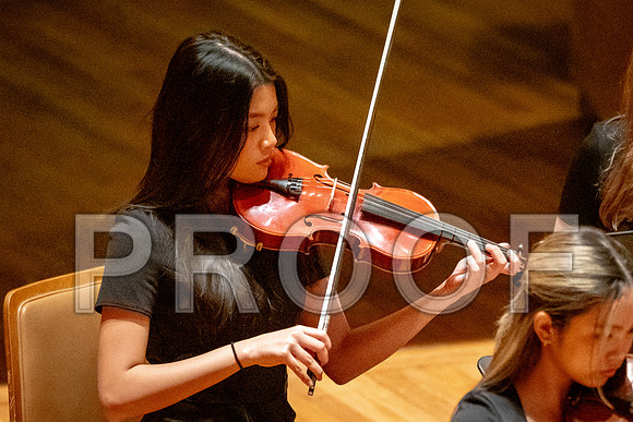 2024 University of Illinois High School Orchestra ClinicFebruary 24, 2024