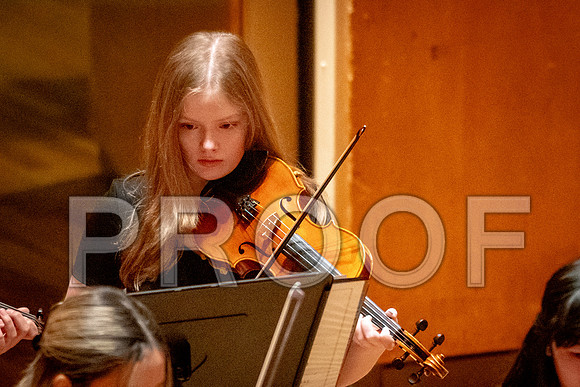 2024 University of Illinois High School Orchestra ClinicFebruary 24, 2024