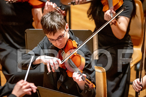 2024 University of Illinois High School Orchestra ClinicFebruary 24, 2024