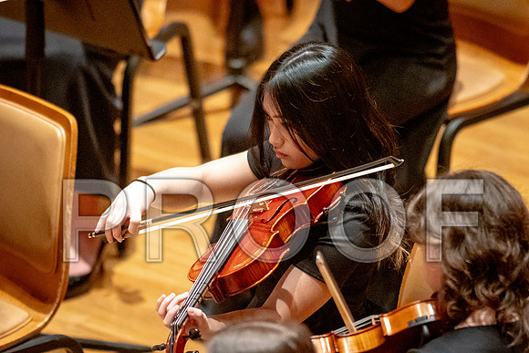 2024 University of Illinois High School Orchestra ClinicFebruary 24, 2024