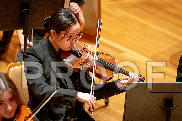 2024 University of Illinois High School Orchestra ClinicFebruary 24, 2024