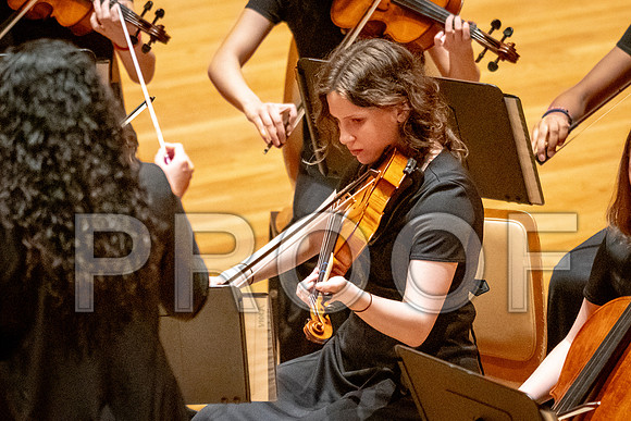 2024 University of Illinois High School Orchestra ClinicFebruary 24, 2024
