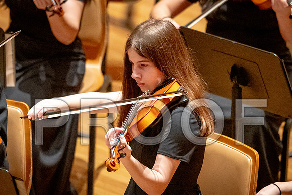 2024 University of Illinois High School Orchestra ClinicFebruary 24, 2024