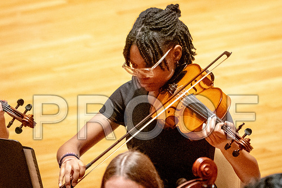 2024 University of Illinois High School Orchestra ClinicFebruary 24, 2024