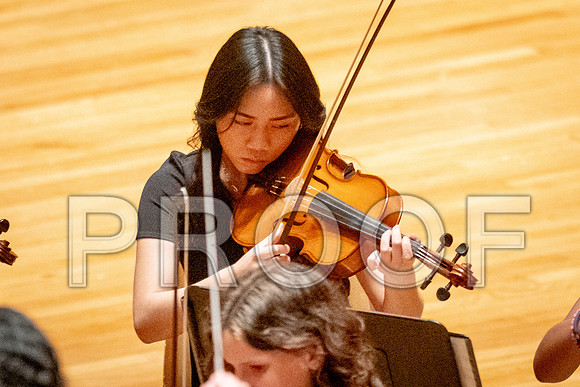 2024 University of Illinois High School Orchestra ClinicFebruary 24, 2024