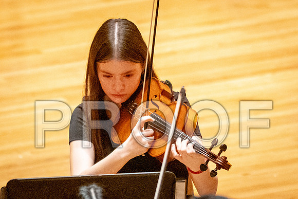 2024 University of Illinois High School Orchestra ClinicFebruary 24, 2024