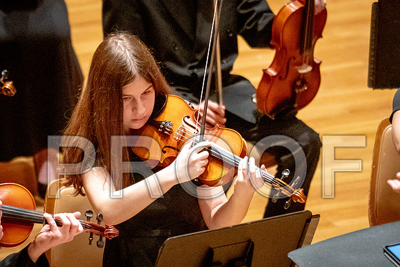 2024 University of Illinois High School Orchestra ClinicFebruary 24, 2024