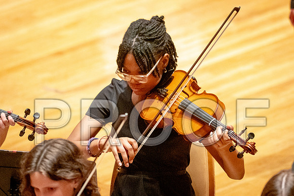 2024 University of Illinois High School Orchestra ClinicFebruary 24, 2024