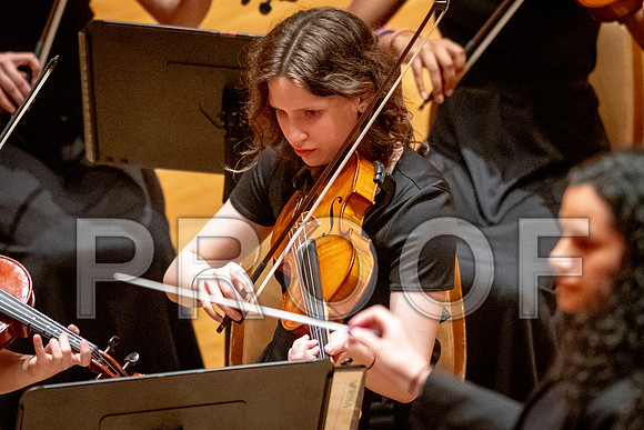 2024 University of Illinois High School Orchestra ClinicFebruary 24, 2024