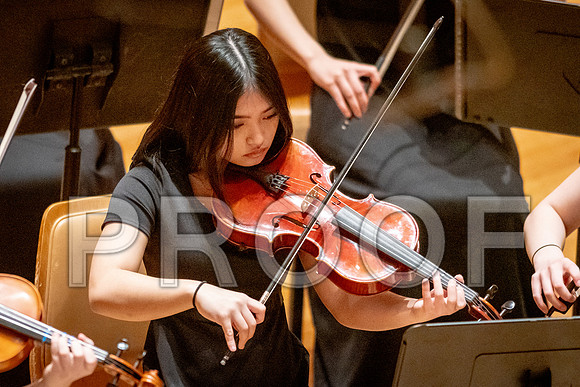 2024 University of Illinois High School Orchestra ClinicFebruary 24, 2024