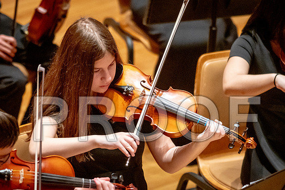 2024 University of Illinois High School Orchestra ClinicFebruary 24, 2024