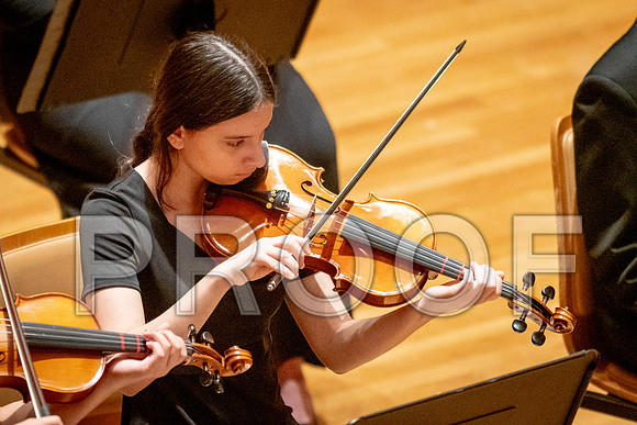 2024 University of Illinois High School Orchestra ClinicFebruary 24, 2024