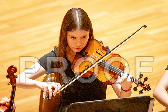 2024 University of Illinois High School Orchestra ClinicFebruary 24, 2024