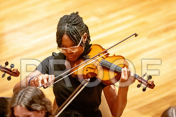 2024 University of Illinois High School Orchestra ClinicFebruary 24, 2024