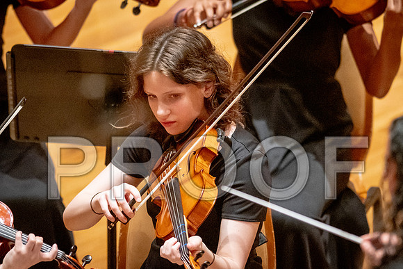 2024 University of Illinois High School Orchestra ClinicFebruary 24, 2024