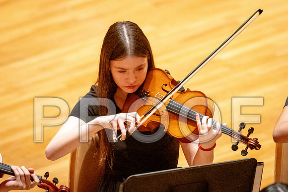 2024 University of Illinois High School Orchestra ClinicFebruary 24, 2024