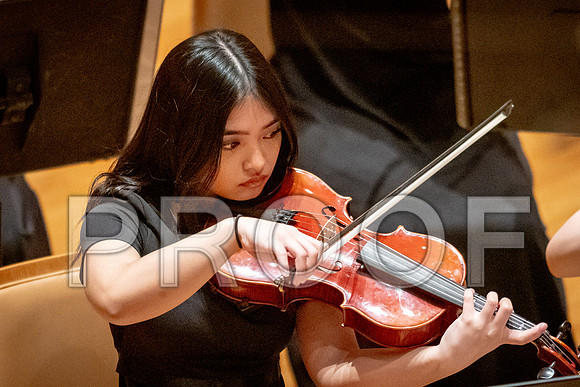 2024 University of Illinois High School Orchestra ClinicFebruary 24, 2024
