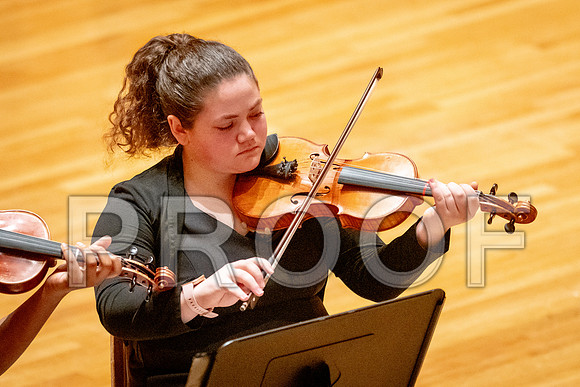 2024 University of Illinois High School Orchestra ClinicFebruary 24, 2024