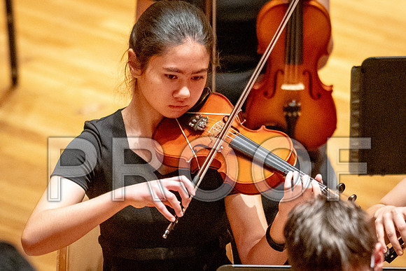2024 University of Illinois High School Orchestra ClinicFebruary 24, 2024