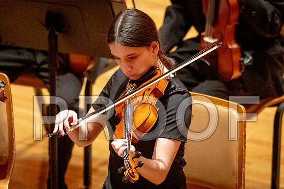 2024 University of Illinois High School Orchestra ClinicFebruary 24, 2024