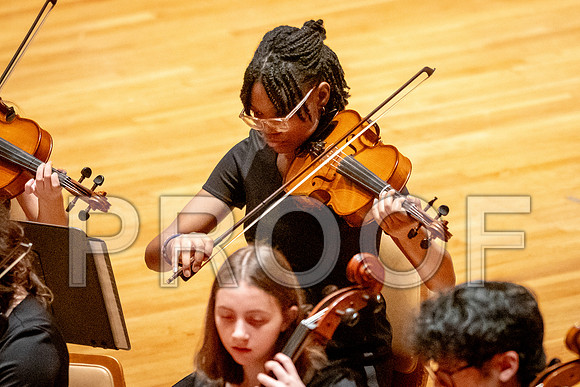 2024 University of Illinois High School Orchestra ClinicFebruary 24, 2024