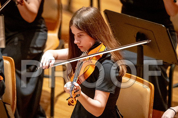 2024 University of Illinois High School Orchestra ClinicFebruary 24, 2024