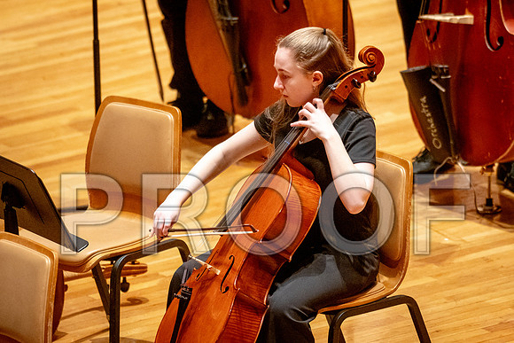 2024 University of Illinois High School Orchestra ClinicFebruary 24, 2024