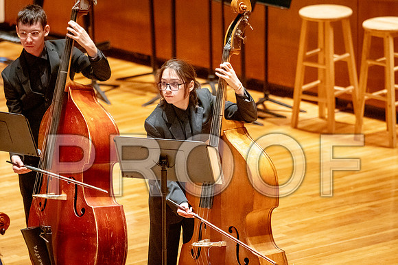 2024 University of Illinois High School Orchestra ClinicFebruary 24, 2024