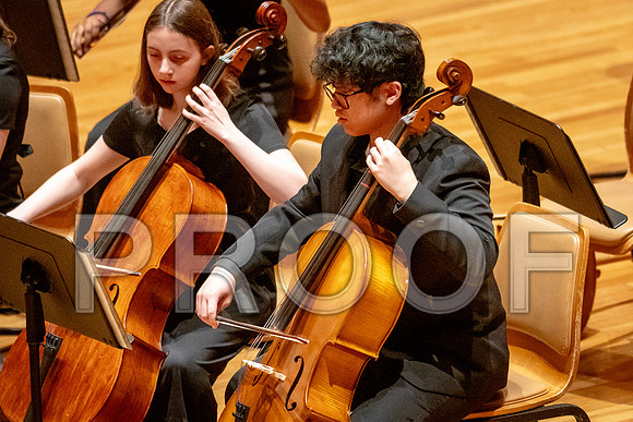 2024 University of Illinois High School Orchestra ClinicFebruary 24, 2024